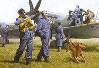 WWII RAF Pilots and Ground Personnel 39-45