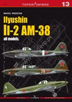 13 - Ilyushin Il-2 AM-38 all models