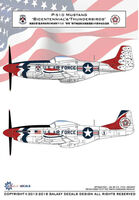 North American P-51 D Mustang Bicentennial and Thunderbirds - Image 1