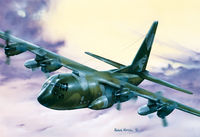 C-130 E/H Hercules - Image 1