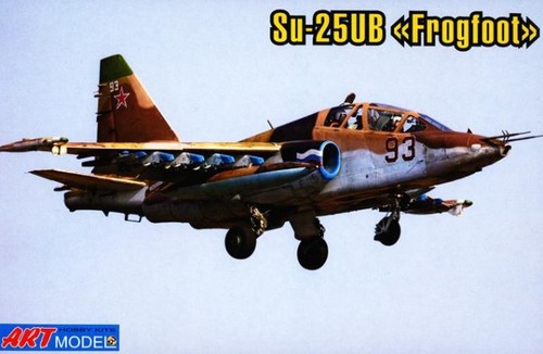 Sukhoi SU-25UB Frogfoot - Image 1